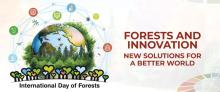 Międzynarodowy Dzień Lasów 2024: Lasy i innowacje – nowe rozwiązania dla lepszego świata